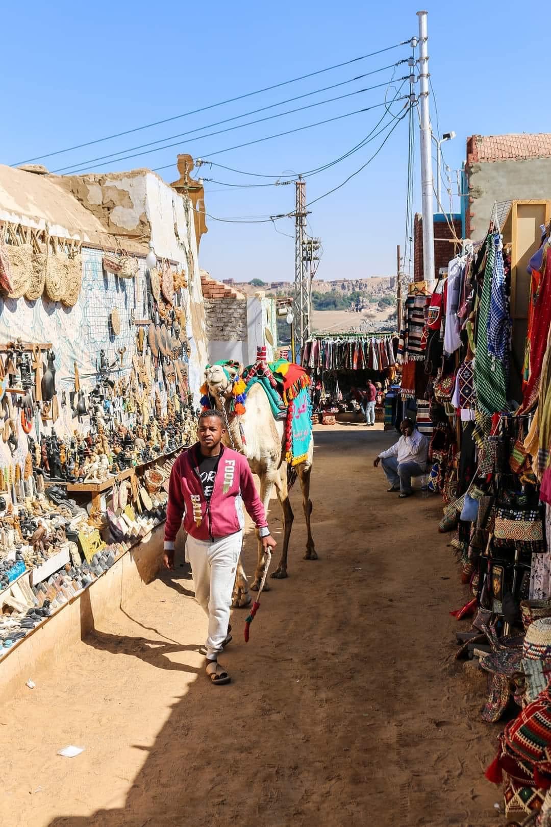 egypte_markt_kameel_the4elementsontour