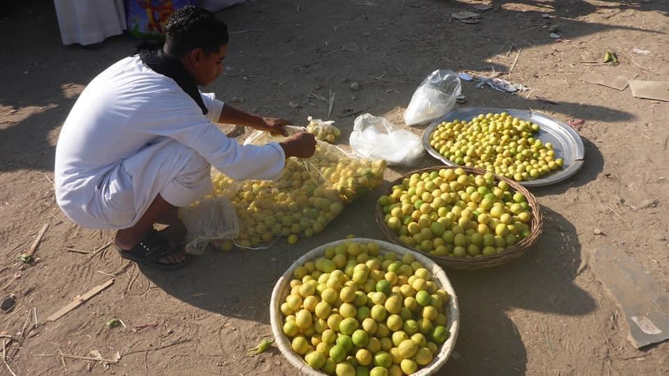 the4elementsontour_egypte_fruit